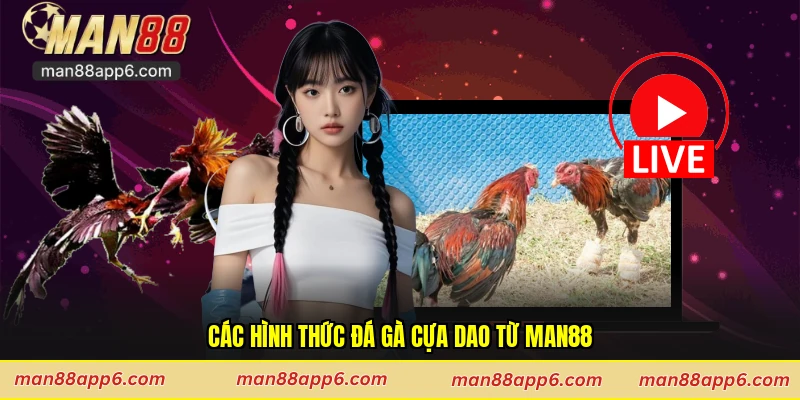 Các hình thức đá gà cựa dao từ Man88