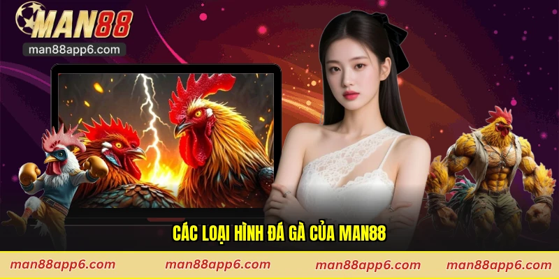 Các loại hình đá gà của Man88