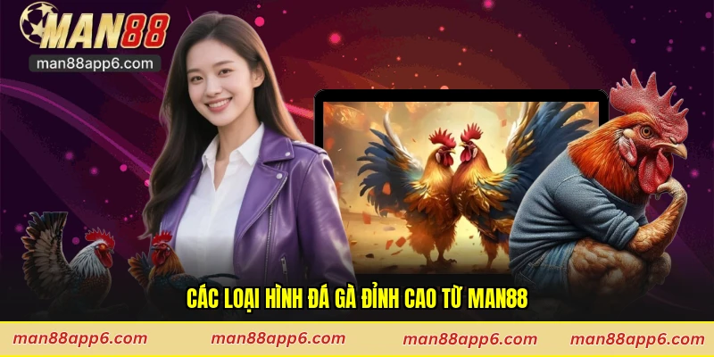 Các loại hình đá gà đỉnh cao từ Man88