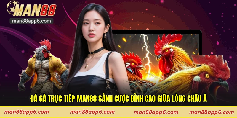 Đá Gà Trực Tiếp Man88 Sảnh Cược Đỉnh Cao Giữa Lòng Châu Á