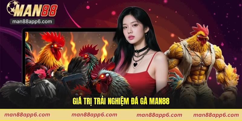 Giá trị trải nghiệm đá gà Man88