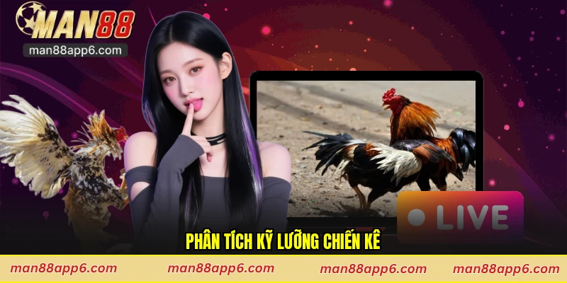 Phân tích kỹ lưỡng chiến kê